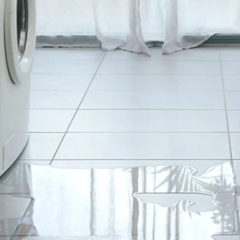 Appliance Leak Cleanup in Heppner, OR